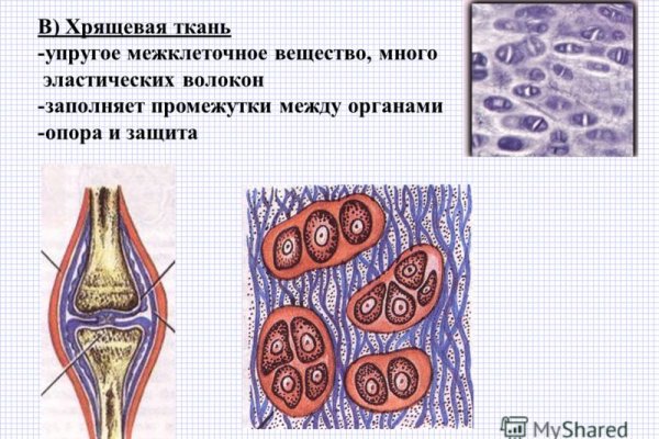 Найдется все кракен