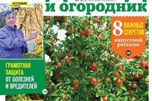 Новый адрес кракен